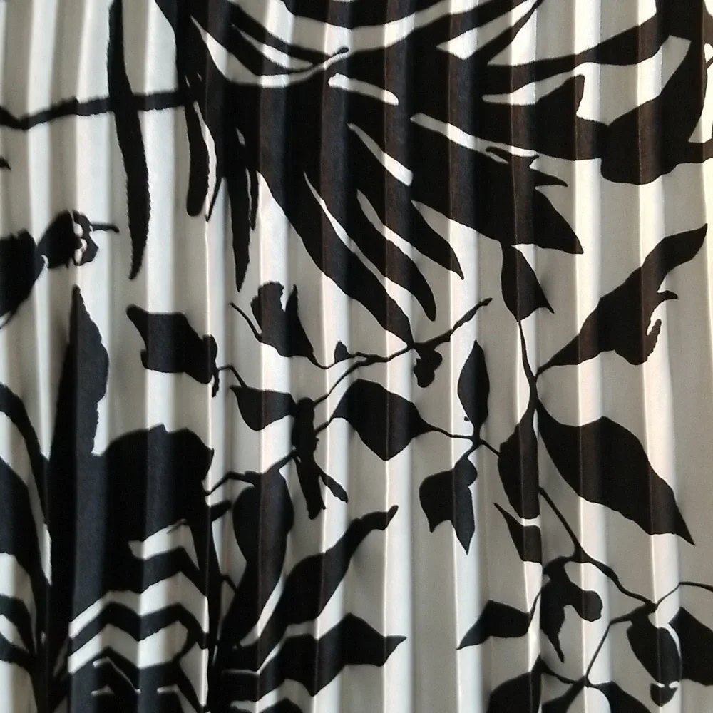 🖤Black🖤 & White Pleated Long Dress - Picture 3 of 14